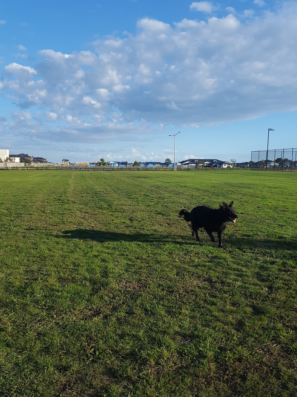 Off Lead Dog Park | park | Point Cook VIC 3030, Australia | 0415152997 OR +61 415 152 997