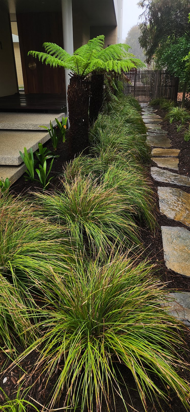 Betula Landscapes | 47 Ridge Rd, Fairhaven VIC 3231, Australia | Phone: 0484 005 404