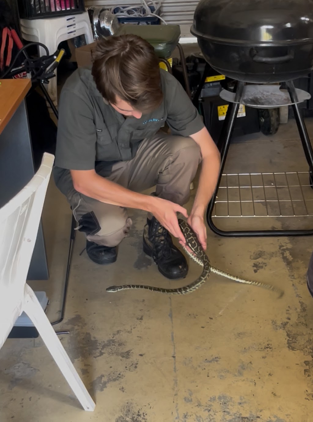 Conserve AU- Reptile Relocations & Education | 20 Ascot Cres, Samford Valley QLD 4520, Australia | Phone: 0459 468 450