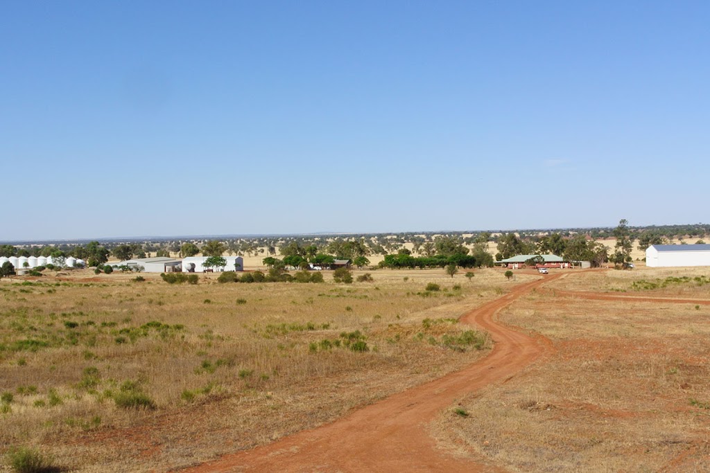 "Bolo" Farm Homestead | 844 Bolo Road, Kiacatoo NSW 2877, Australia | Phone: (02) 9832 2777