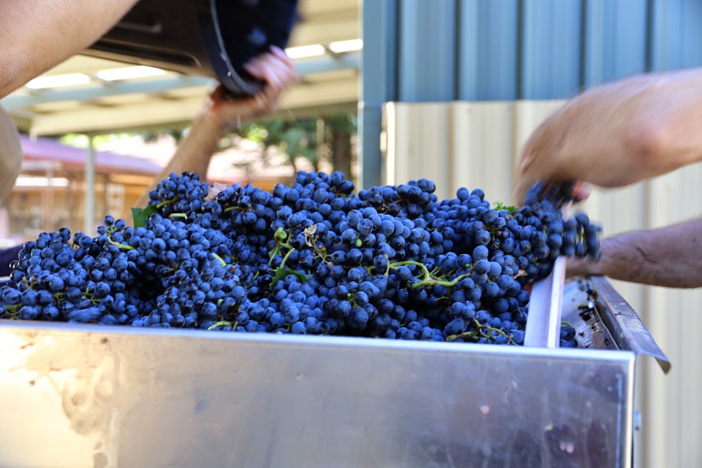La Terrazza Vineyard (Winery) | 17 Gungurru Rd, Huntly VIC 3551, Australia | Phone: (03) 5448 8393