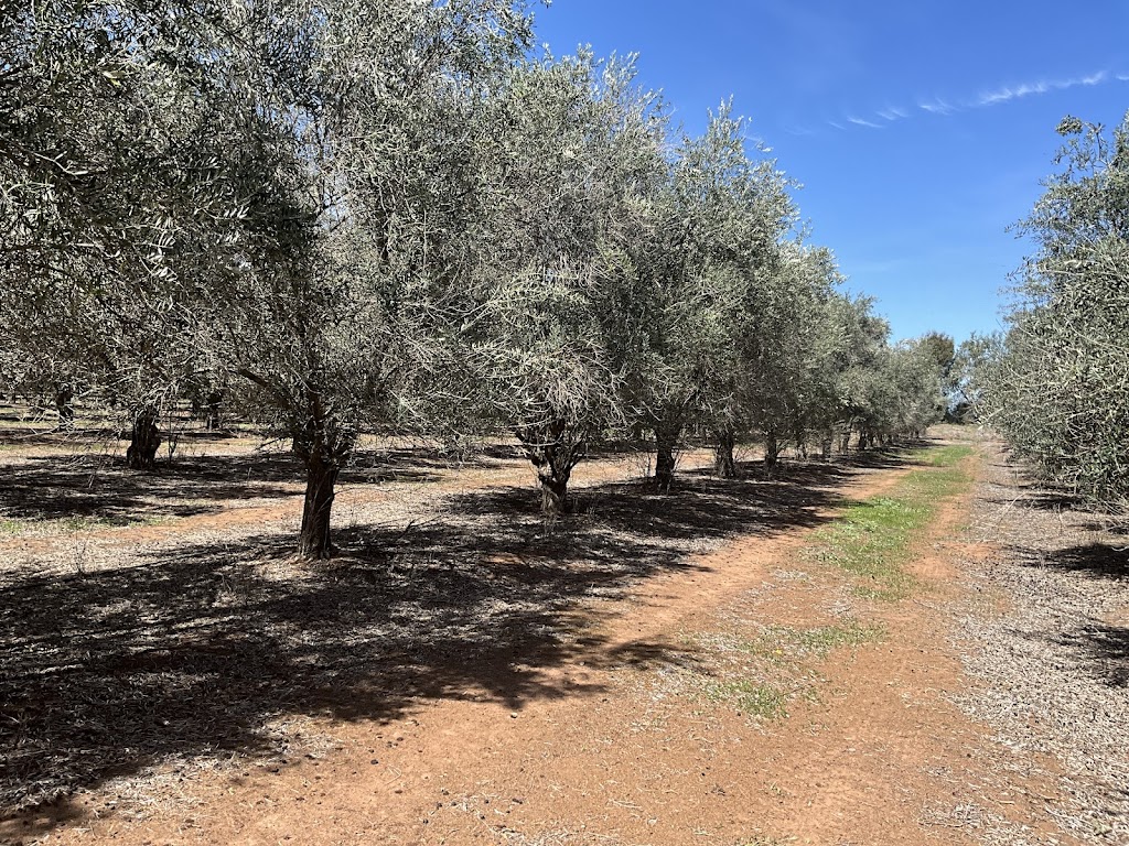 Highlands Horticulture Corp Pty Ltd | 35 New Jerusalem Rd, Oakdale NSW 2570, Australia | Phone: 0499 555 292