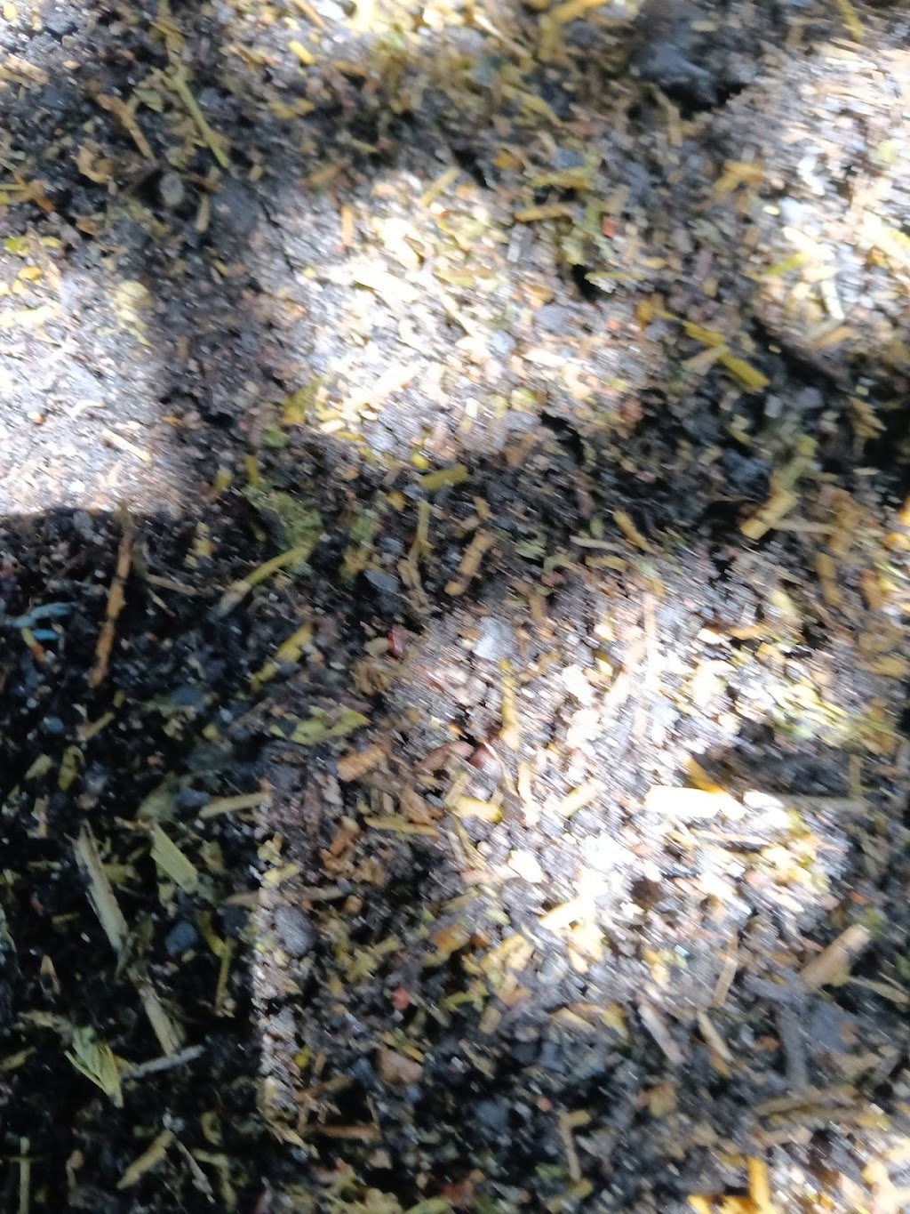Rosemeadow Worm Farming | 5 Fitzgibbon Ln, Rosemeadow NSW 2560, Australia | Phone: (02) 9057 6479