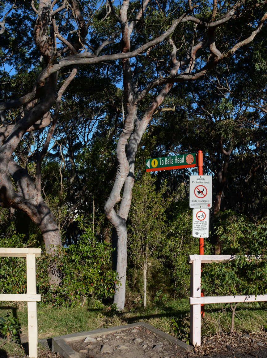 Badangi Reserve | park | Tryon Ave, Wollstonecraft NSW 2065, Australia | 0299368100 OR +61 2 9936 8100
