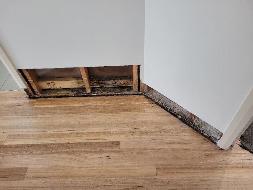 MouldMen - Mould Gone | 4/37 Expansion St, Molendinar QLD 4214, Australia | Phone: 1300 605 960