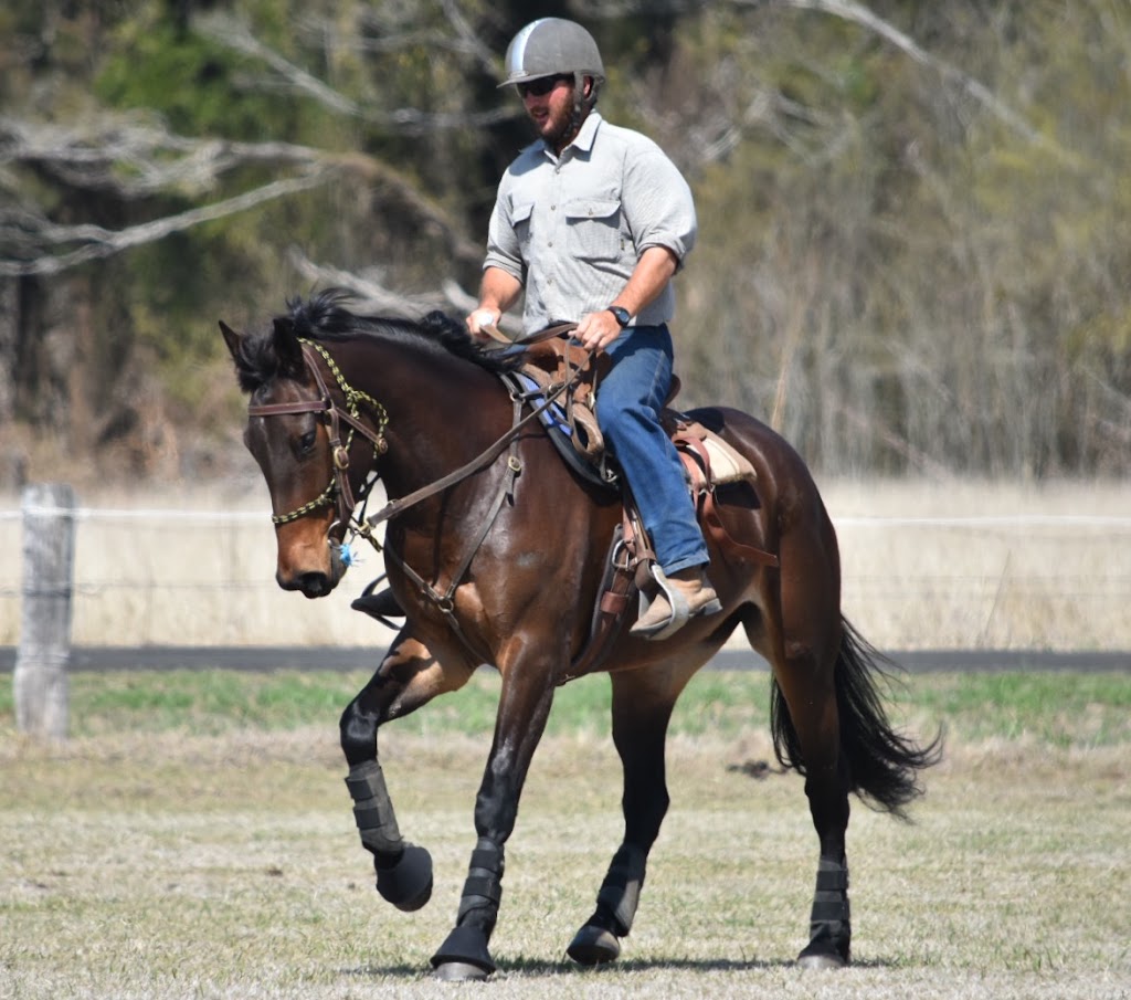 Watkins Horse Handlers |  | 195 Gooch Rd, Mokine WA 6401, Australia | 0427345528 OR +61 427 345 528