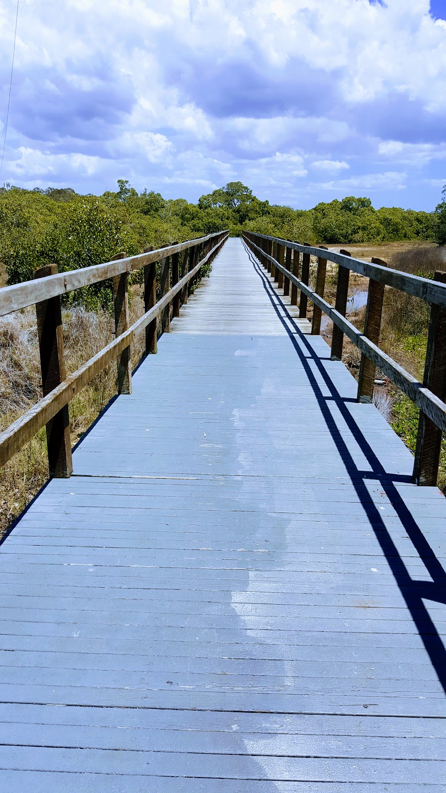 Lota Creek Boardwalk | park | 325 Whites Rd, Lota QLD 4179, Australia