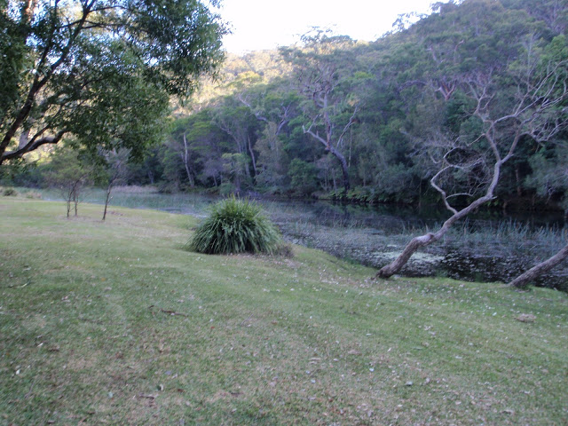 Willow Tree Flat picnic area | park | Royal National Park NSW 2233, Australia