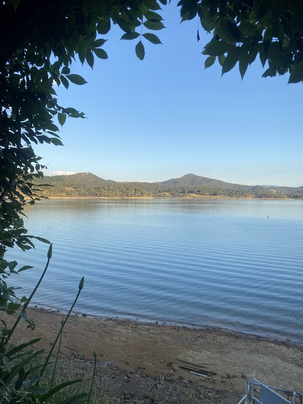 The Horseless Cart | 53 Bayside Blvd, Goughs Bay VIC 3723, Australia | Phone: 0483 221 411