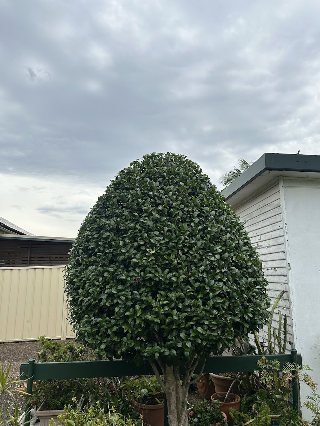 Lachys Outdoor Care | 8 Stanley St, Belmont NSW 2280, Australia | Phone: 0490 397 425
