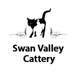 Swan Valley Cattery | veterinary care | 255 Lefroy Ave, Herne Hill WA 6056, Australia | 0892960131 OR +61 8 9296 0131
