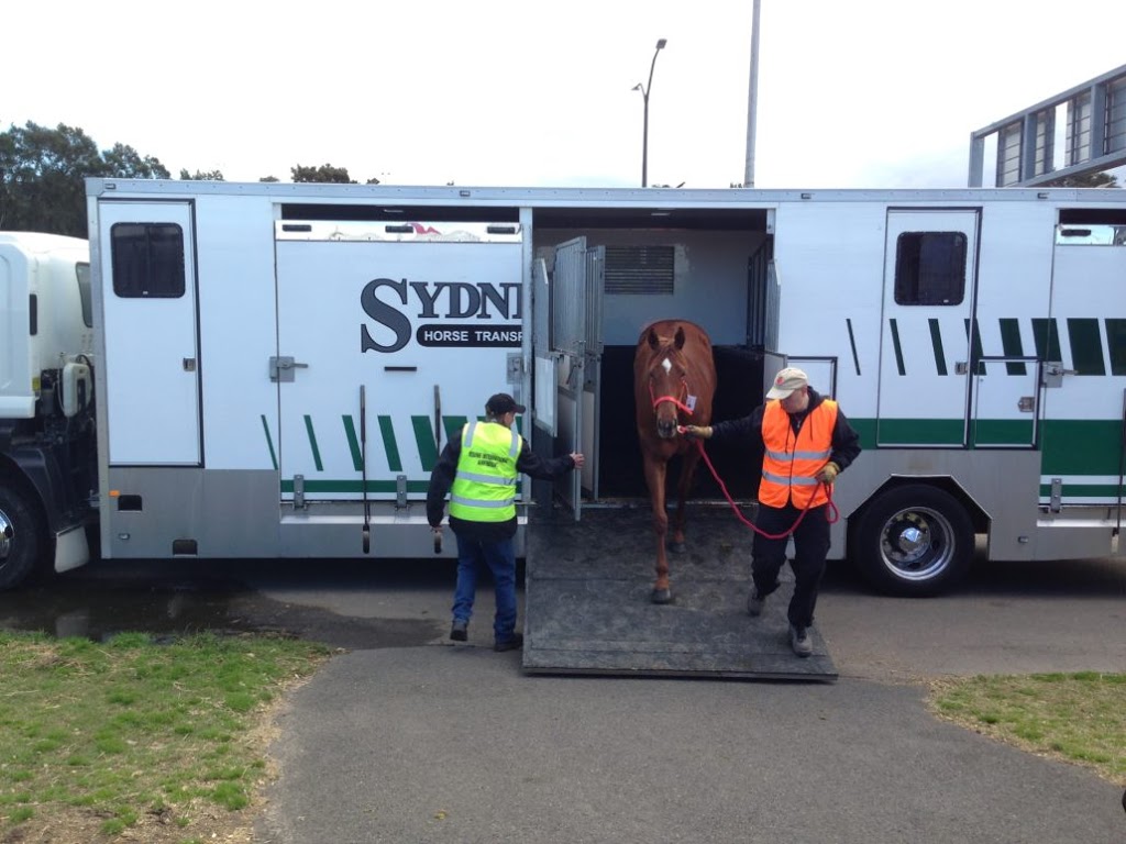 Equine International Airfreight | 1.3/394 Lane Cove Rd, Macquarie Park NSW 2113, Australia | Phone: (02) 8817 0300