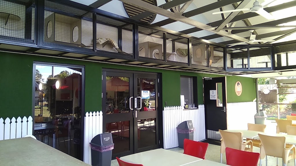 RSPCA Black Cat Café | cafe | 139 Wacol Station Rd, Wacol QLD 4076, Australia | 0734269999 OR +61 7 3426 9999