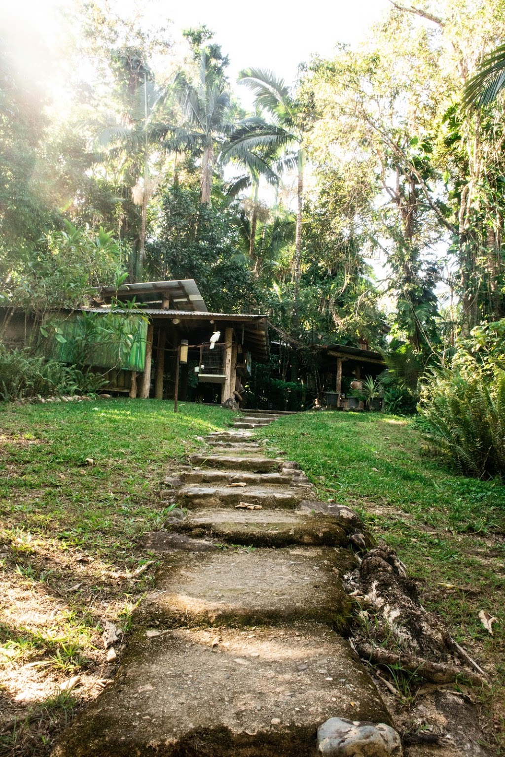 Platypus Bushcamp | campground | 672 Gorge Rd, Finch Hatton QLD 4756, Australia | 0749583204 OR +61 7 4958 3204