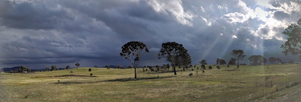 Mulanggari Grasslands Nature Reserve | Gungahlin ACT 2912, Australia