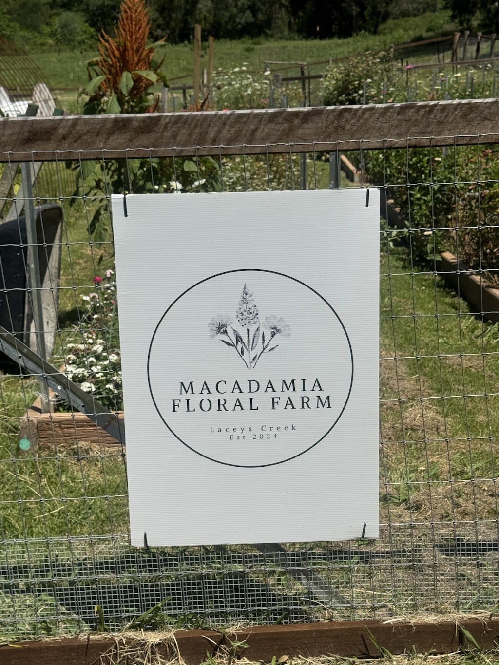 Macadamia floral farm | 52 Macadamia Dr, Laceys Creek QLD 4521, Australia | Phone: 0414 994 446
