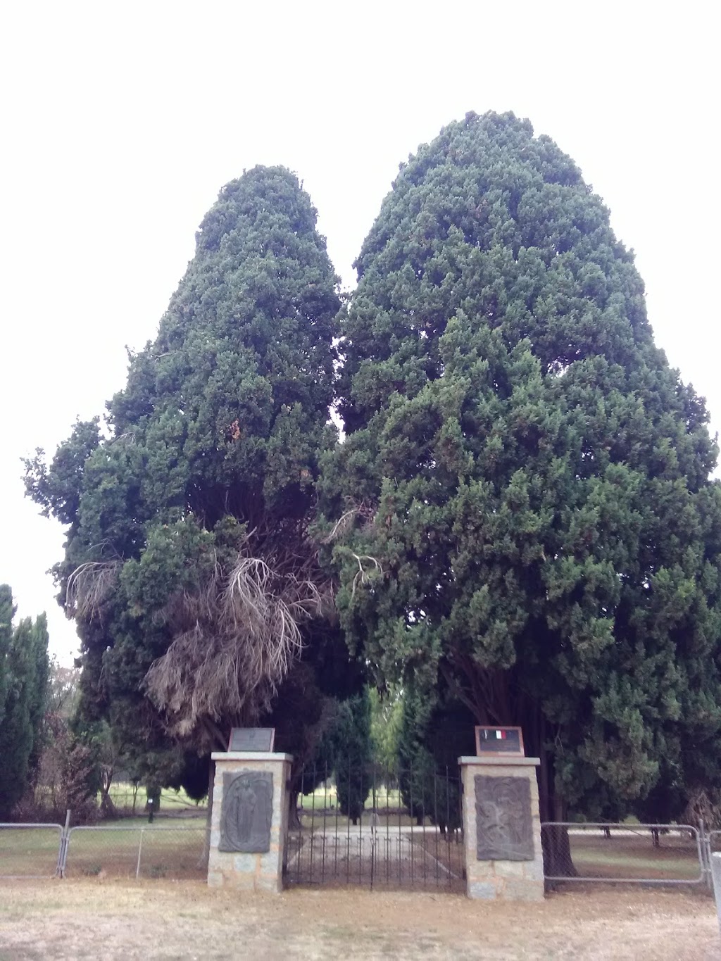 Murchison Cemetery | cemetery | Willoughby St, Murchison VIC 3610, Australia