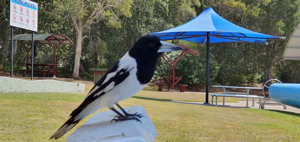 Bribie Island Aquatic Leisure Centre |  | 48 Goodwin Dr, Bongaree QLD 4507, Australia | 0734100200 OR +61 7 3410 0200