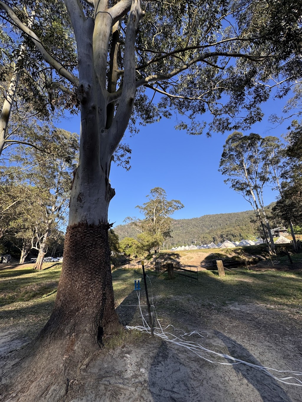 Boundary Cove Campsite | Glenworth Valley NSW 2250, Australia | Phone: (02) 4375 1222
