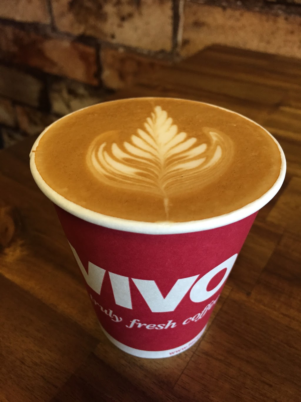 Vivo Coffee | 185 Beverley St, Morningside QLD 4170, Australia | Phone: (07) 3399 9654
