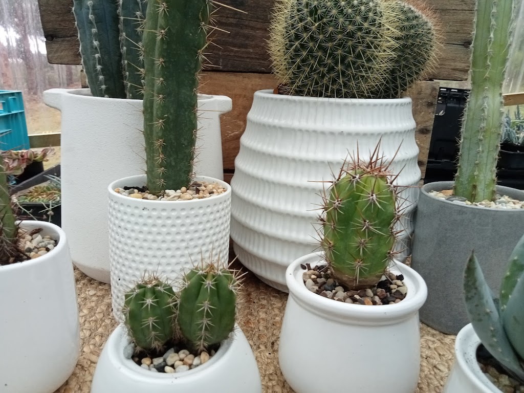 Xeriflora | Woodbridge Hill Rd, Gardners Bay TAS 7112, Australia | Phone: 0406 123 511