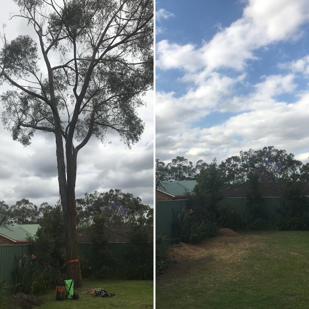 Barker Bros Tree Services | 31 Hawkesbury Rd, Springwood NSW 2777, Australia | Phone: 0423 580 289