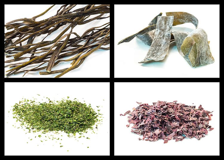 Atlantic Dulse Seaweed Australia | food | 14 Glenmore Ridge Dr, Glenmore Park NSW 2745, Australia | 0481905396 OR +61 481 905 396