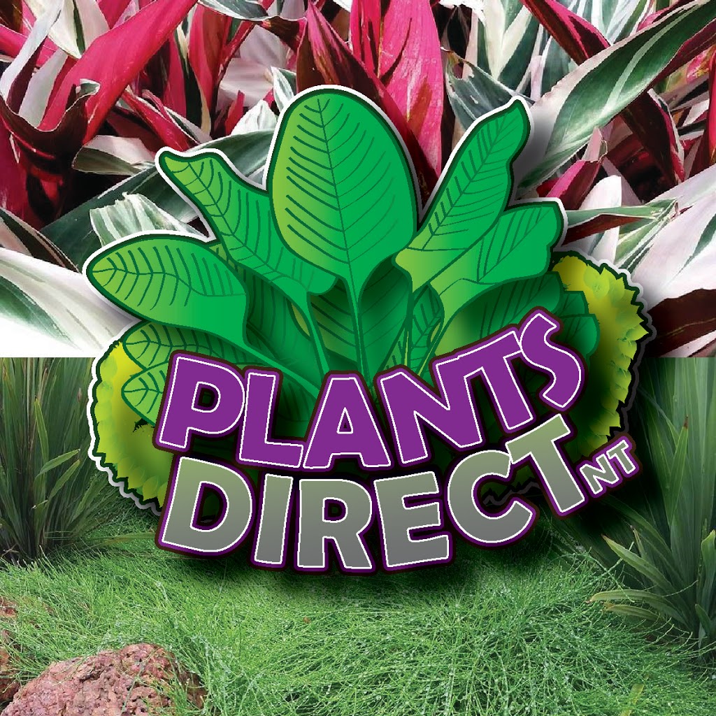 Plants Direct N.T | store | 91 Trepang Rd, Herbert NT 0836, Australia | 0889882503 OR +61 8 8988 2503