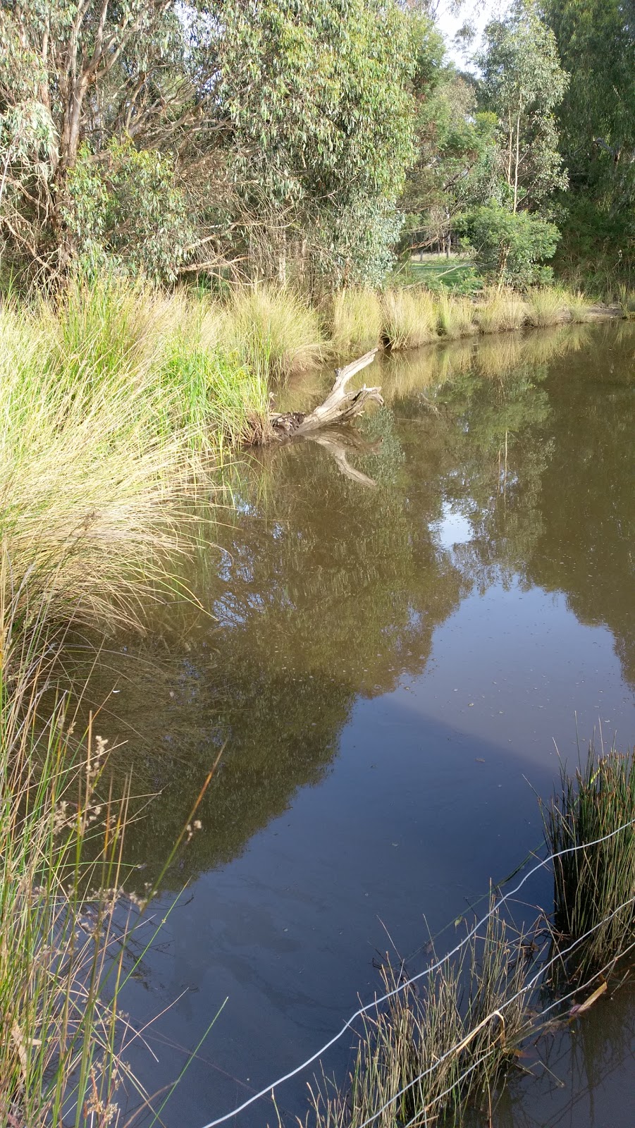 Koonung Creek Reserve | park | Balwyn North VIC 3104, Australia | 0398409333 OR +61 3 9840 9333