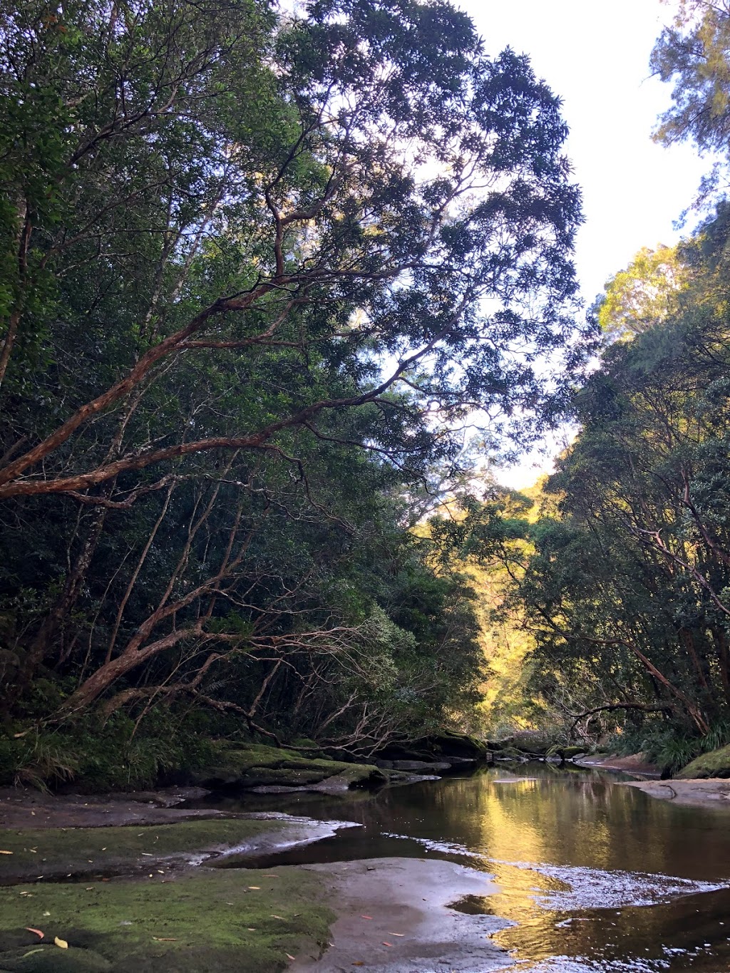 Gibberagong Track | park | Gibberagong Track, North Turramurra NSW 2074, Australia