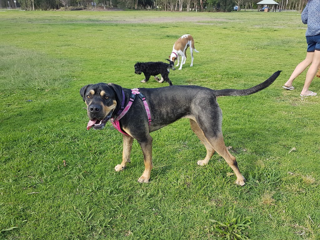 Croudace Bay Dog Park | park | Macquarie Dr, Eleebana NSW 2282, Australia