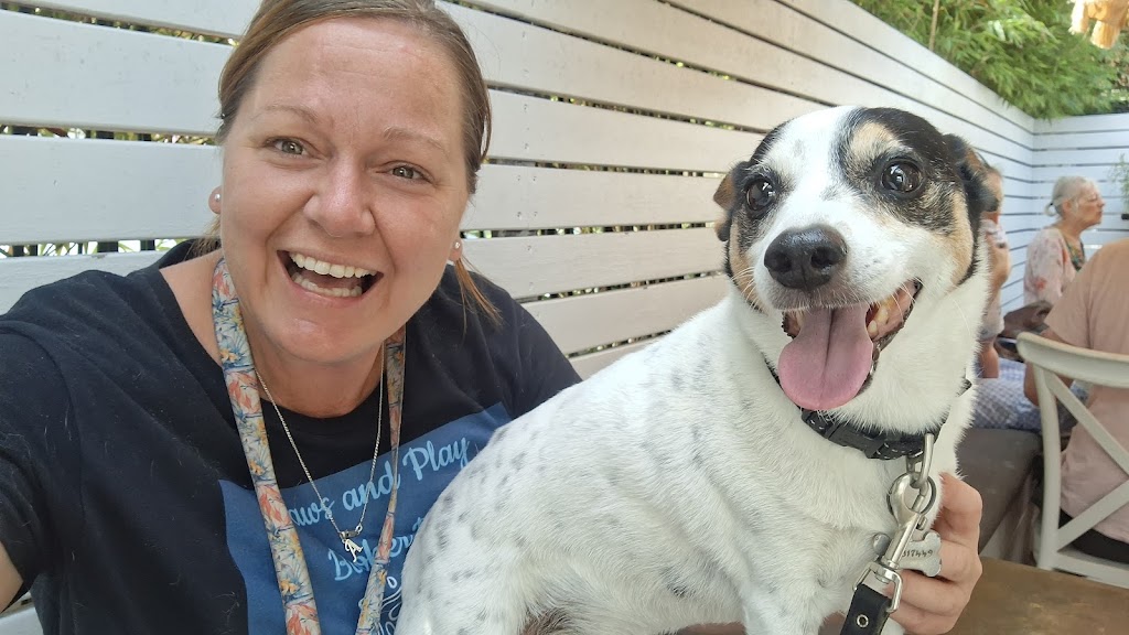 Paws and Play Booker Bay | Davis St, Booker Bay NSW 2257, Australia | Phone: 0431 593 890