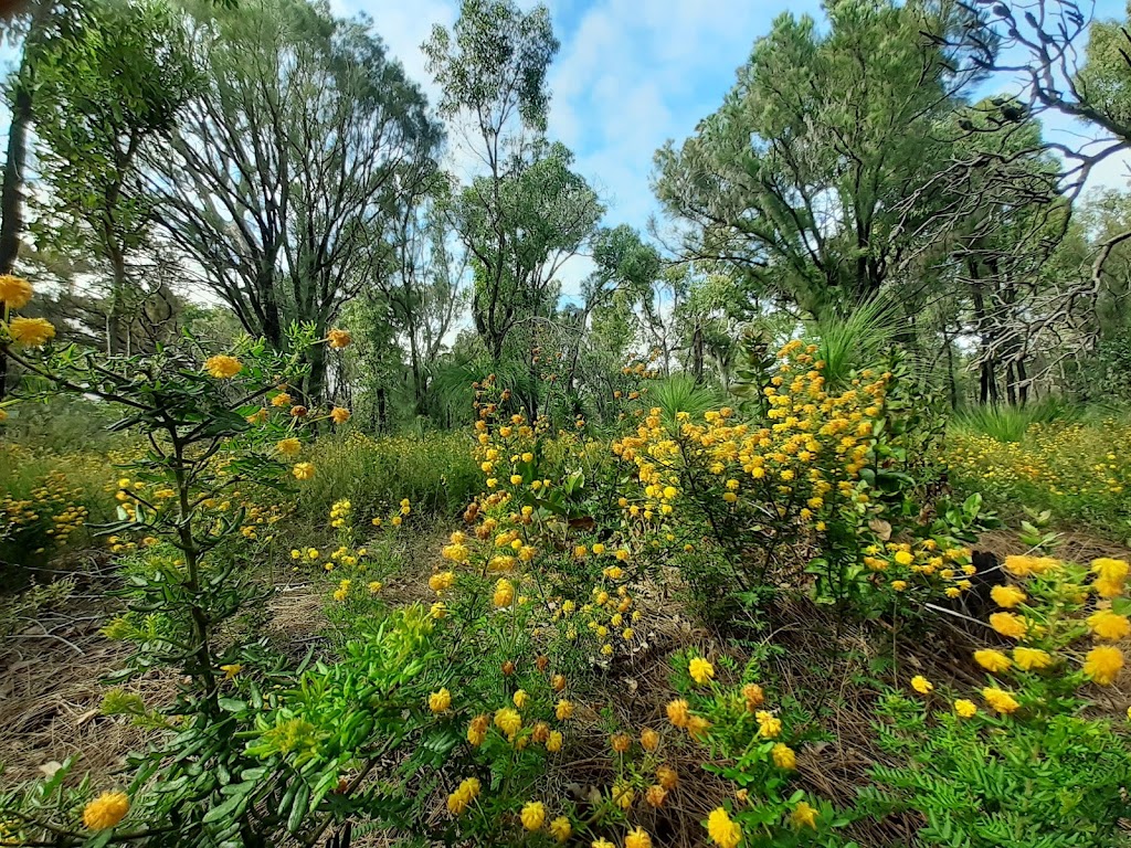 Armadale Settlers Common | 39/63 Observation Cir, Bedfordale WA 6112, Australia | Phone: (08) 9394 5000