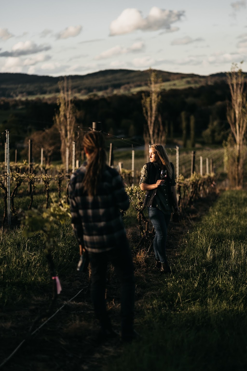 ChaLou Wines | 569 Emu Swamp Rd, Emu Swamp NSW 2800, Australia | Phone: 0427 732 895