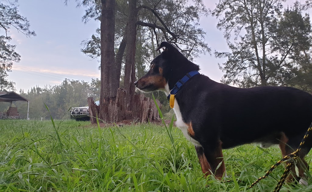 Araluen Creek campground | Araluen NSW 2622, Australia