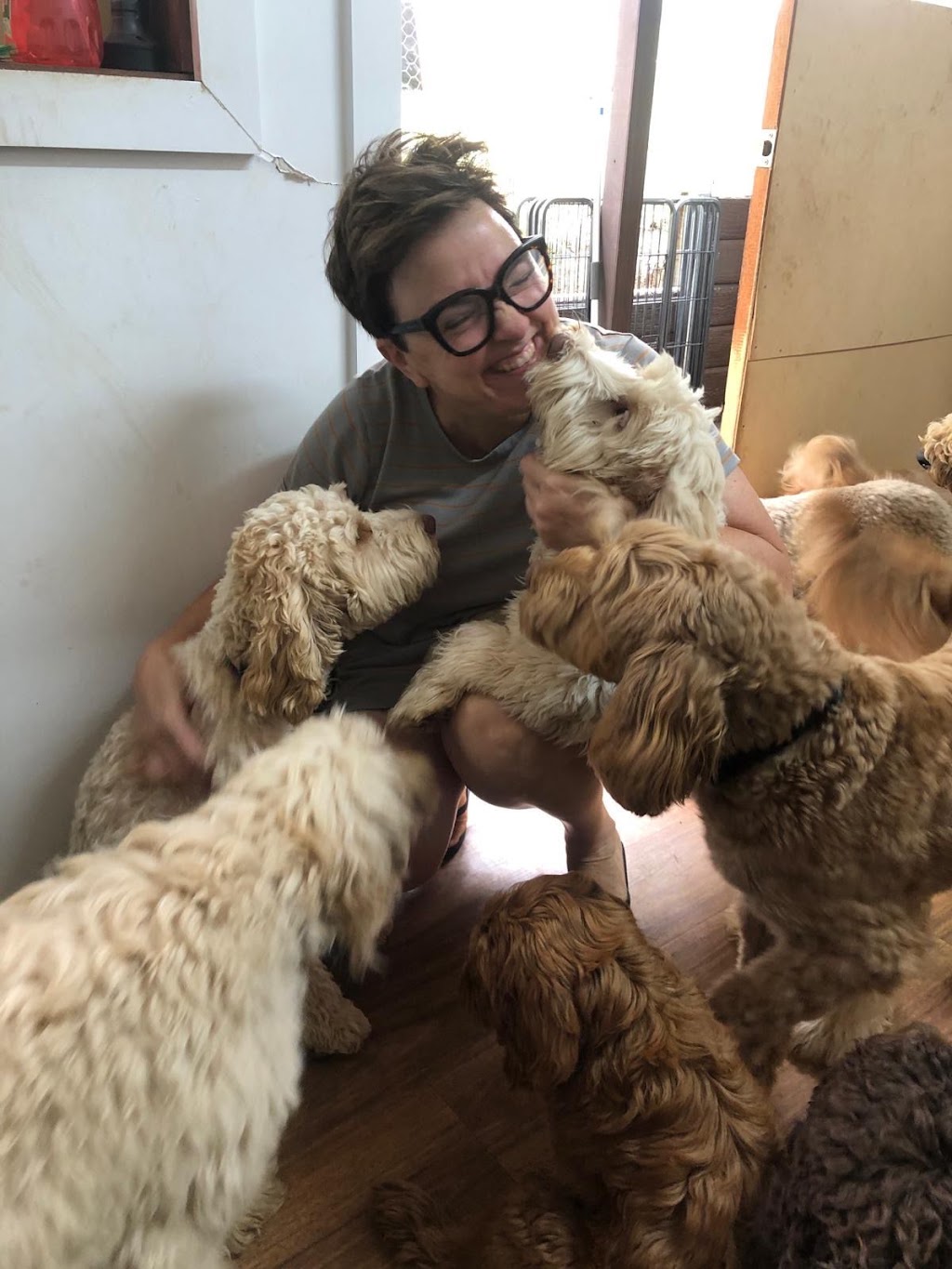 Woofs HQ | 16 E Kurrajong Rd, East Kurrajong NSW 2758, Australia | Phone: 0420 960 690