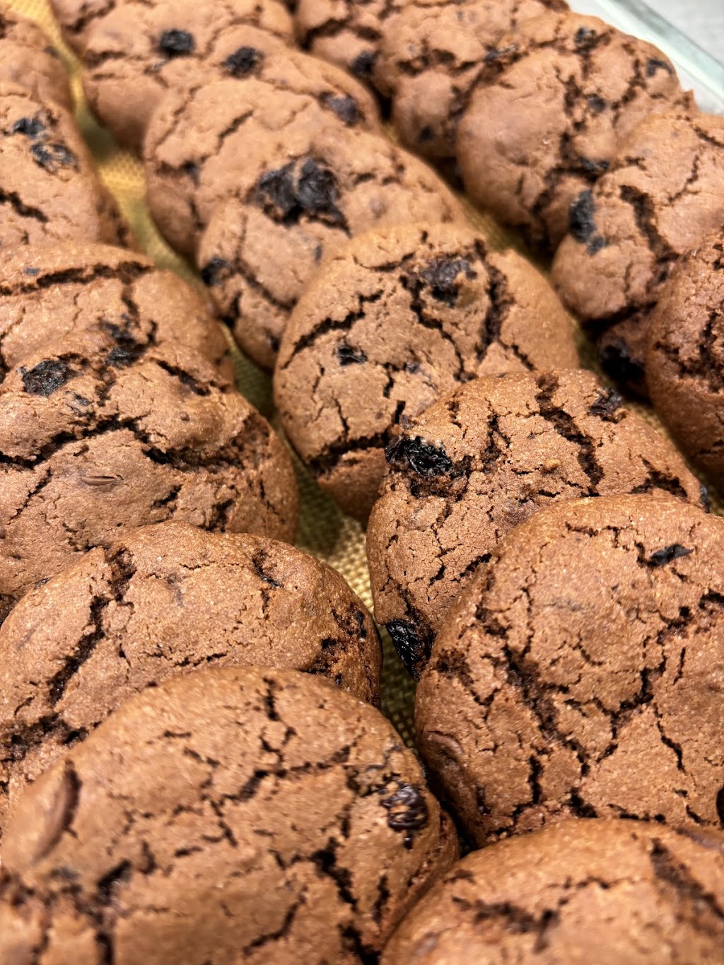 Mr Bold Next Door | Unit 1A/4 Hopkins Pl, Narooma NSW 2546, Australia | Phone: 0437 279 839