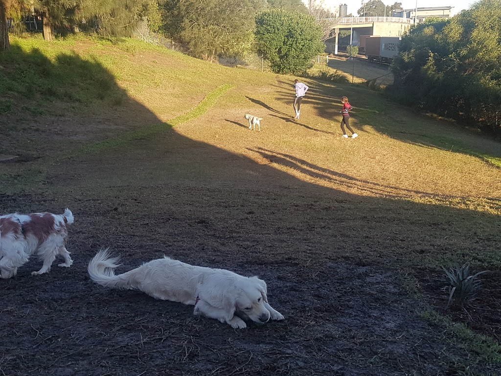 Gaiarine Gardens Dog Friendly Fenced Area & Playground | park | 58 Ocean St, Pagewood NSW 2035, Australia