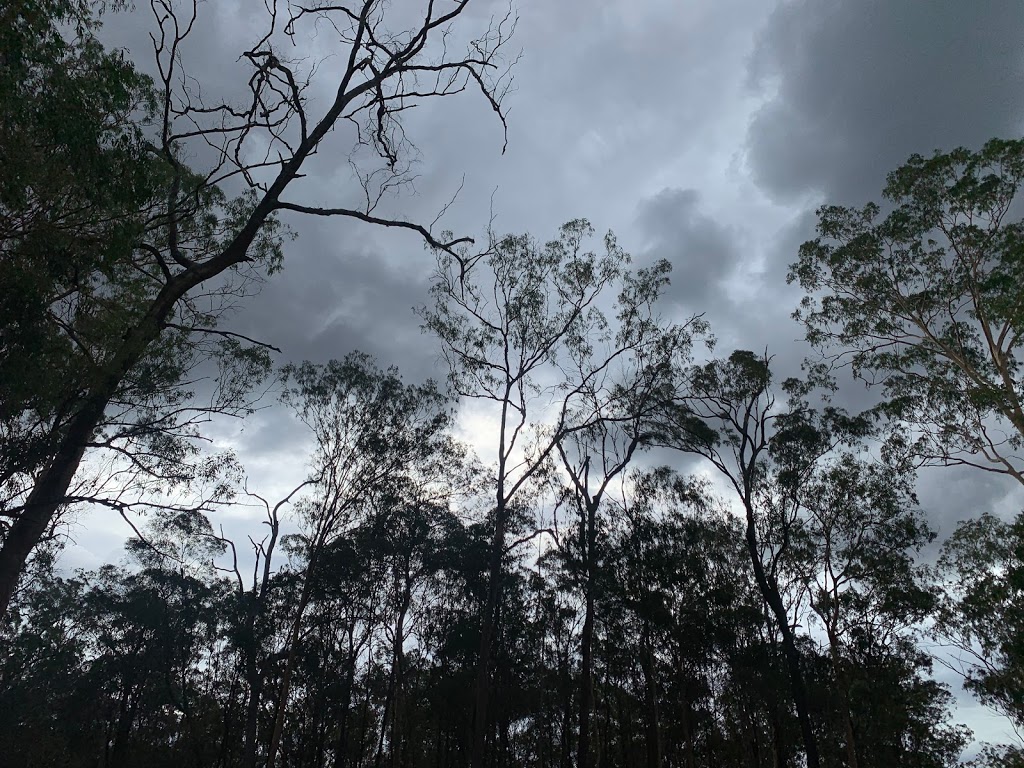 Hurdle Gully Lookout | Coominglah Forest, Coominglah QLD 4630, Australia | Phone: 13 74 68