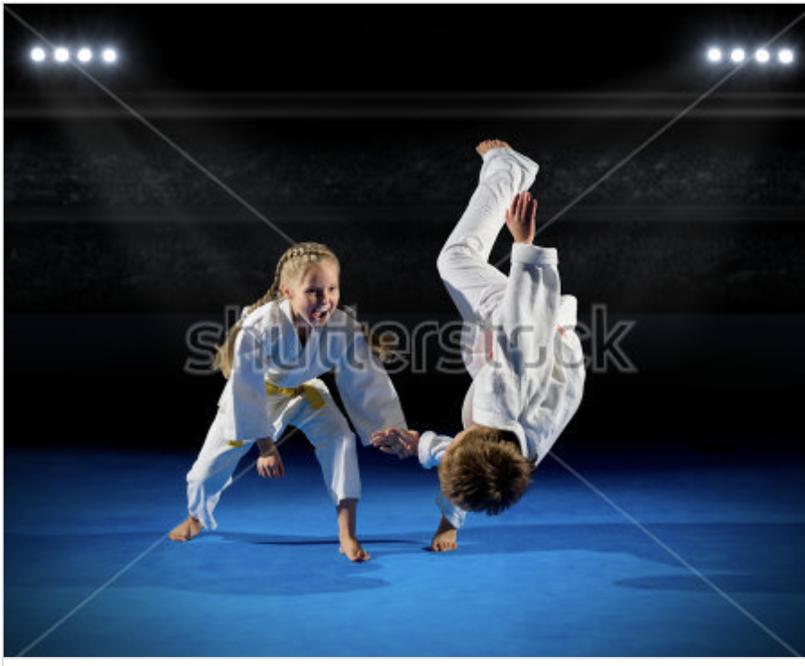 Brazilian Jiu Jitsu Invictus Gym | gym | 2C Assembly Dr, Tullamarine VIC 3043, Australia | 0393303399 OR +61 3 9330 3399