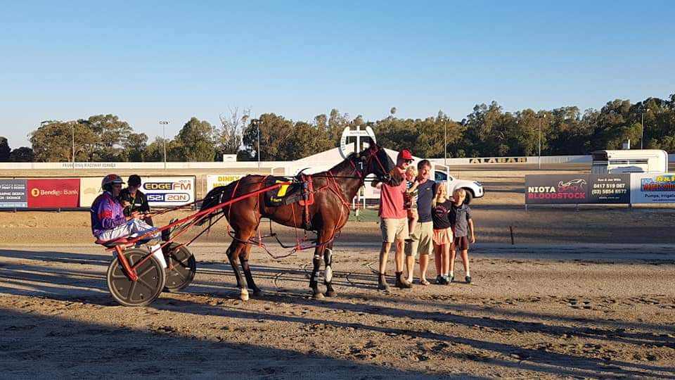 Echuca Harness Racing Club | Simmie St, Echuca VIC 3564, Australia | Phone: (03) 5482 2036