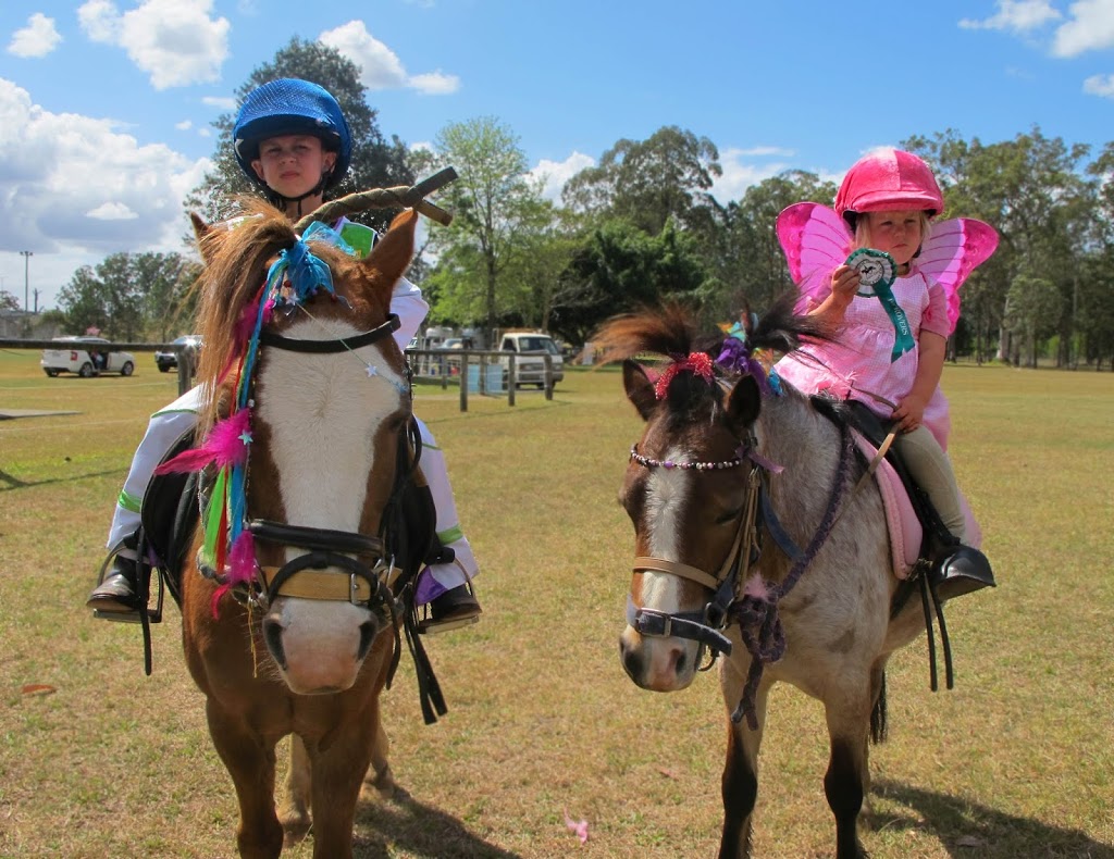 Sunshine Coast Party Ponies and petting zoo |  | 280 Yeates Rd, Beerwah QLD 4519, Australia | 0404497127 OR +61 404 497 127
