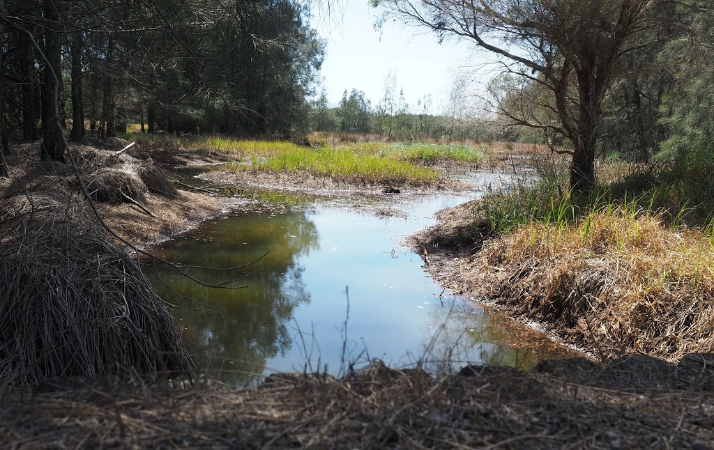 Hunter Wetlands National Park | Tomago NSW 2322, Australia | Phone: (02) 4946 4100