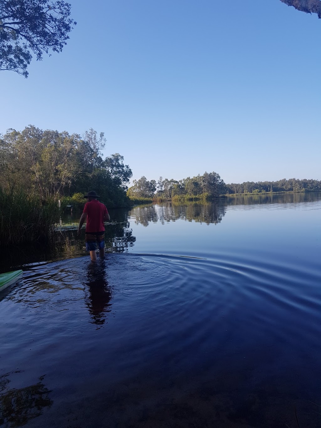 Cooloola (Noosa River) Resources Reserve | Como QLD 4571, Australia