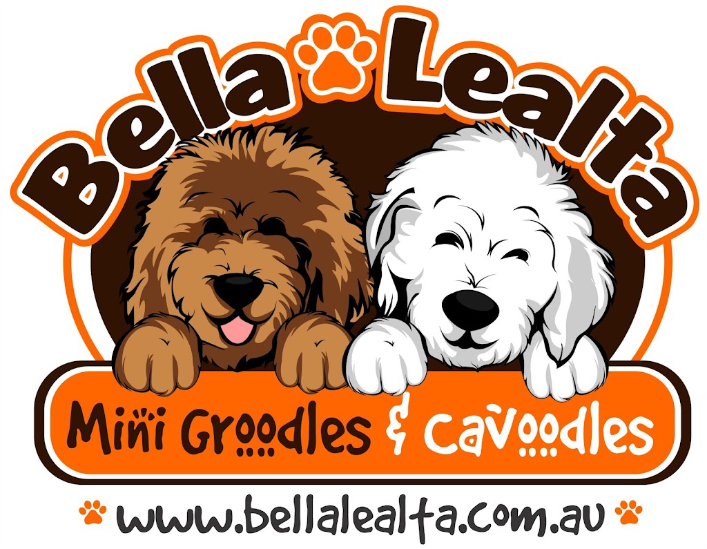Bella-Lealta Mini Groodles & Cavoodles | City of Lake Macquarie, NSW 2264, Australia | Phone: 0411 552 392