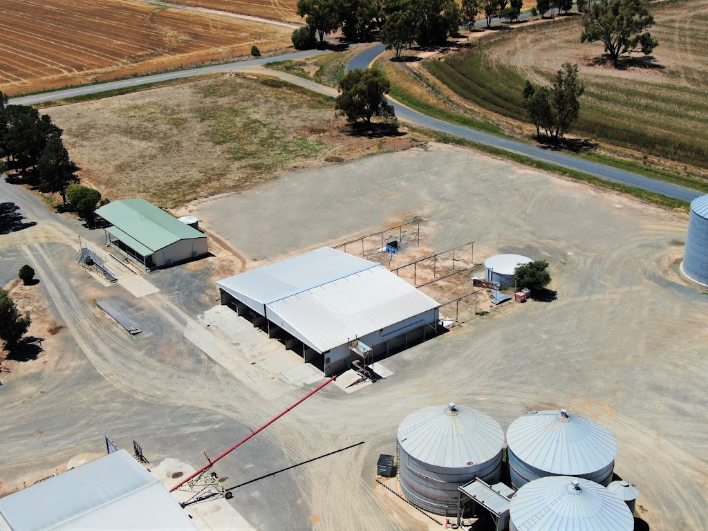 Brahman Commodities | 15 Reapers Rd, Culcairn NSW 2660, Australia | Phone: 0435 855 108