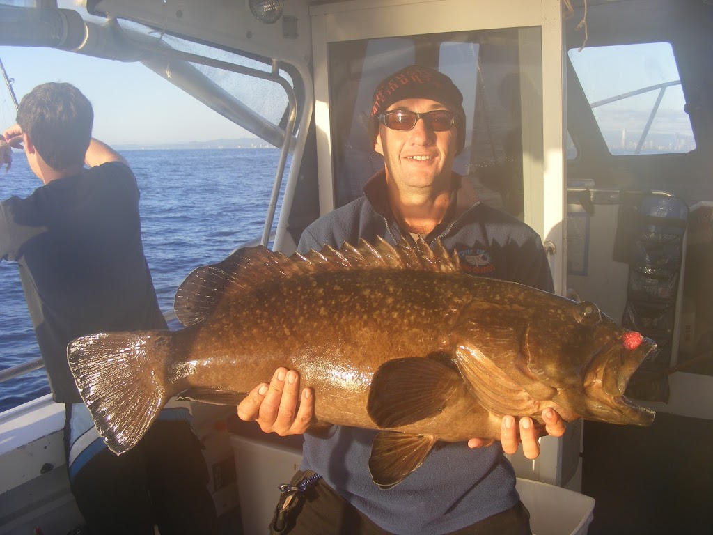 Deep Sea Fishing Charters Gold Coast | 3 Muriel Henchman Dr, Main Beach QLD 4217, Australia | Phone: (07) 5564 1037