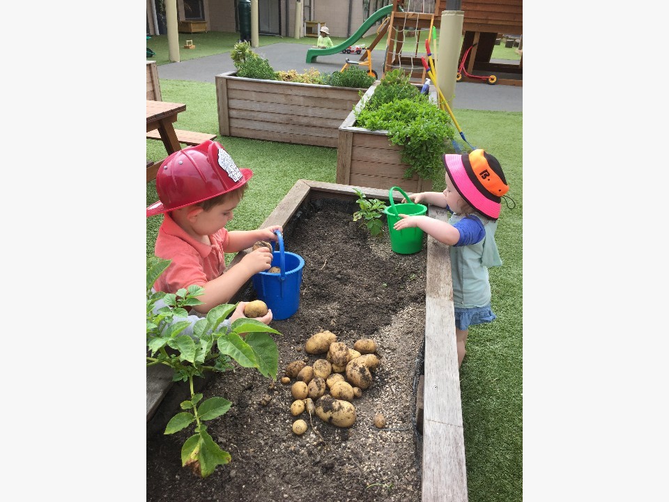 Cardinia Lakes Early Learning Centre | 3 Atlantic Dr, Pakenham VIC 3810, Australia | Phone: (03) 9066 1144