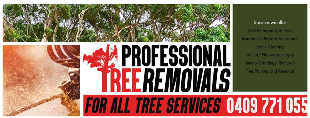 Professional Tree Removals | 158 Crooks Rd, Mandalong NSW 2265, Australia | Phone: 0409 771 055