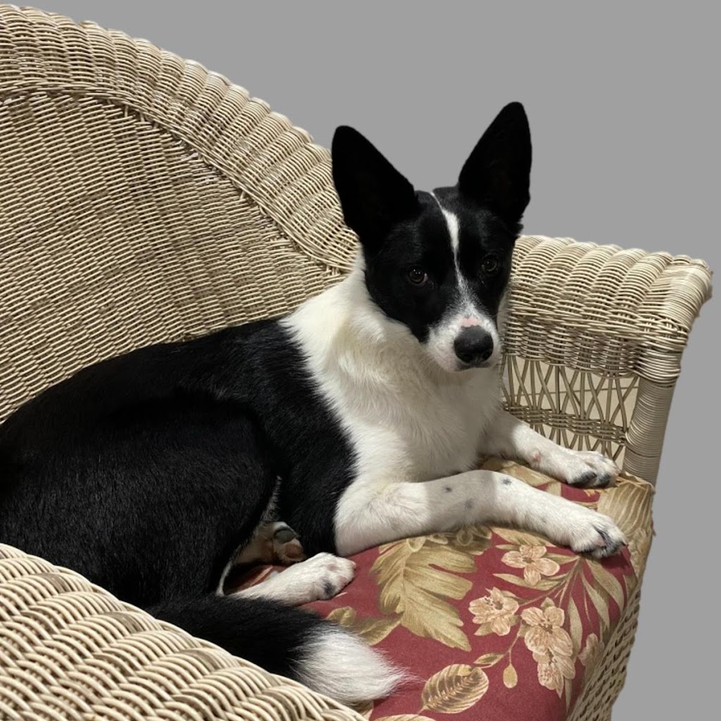 EVERYTHING FABRIC | 56 Jackson St, Sarina QLD 4737, Australia | Phone: 0490 397 201